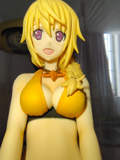 IS〈无限斯特托拉斯〉 夏洛特・迪诺亚 泳装