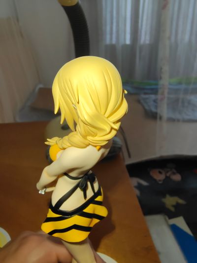 IS〈无限斯特托拉斯〉 夏洛特・迪诺亚 泳装