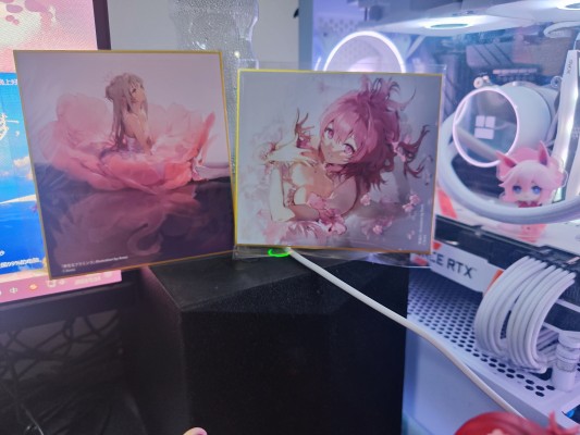 火烈鸟芭蕾舞团 后辈女孩