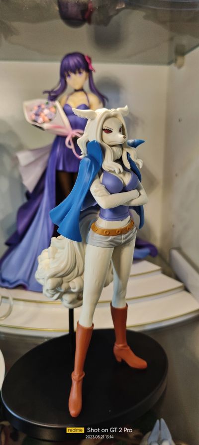 DXF ~伟大航女~ 航海王 和之国篇 10