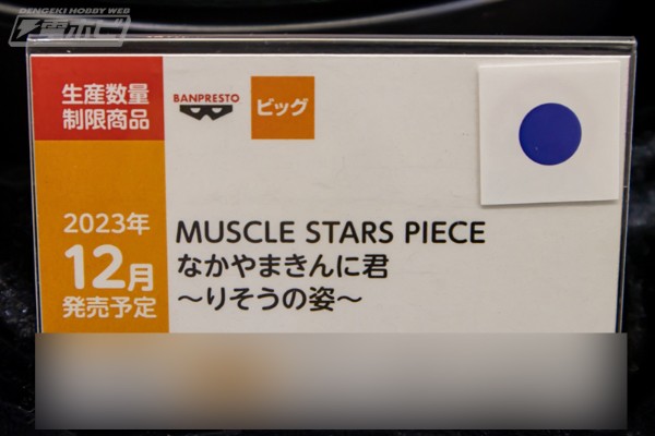 MUSCLE STARS PIECE  中山肌肉君（中山翔二）~理想中的身形~