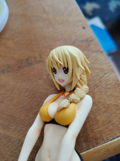 IS〈无限斯特托拉斯〉 夏洛特・迪诺亚 泳装