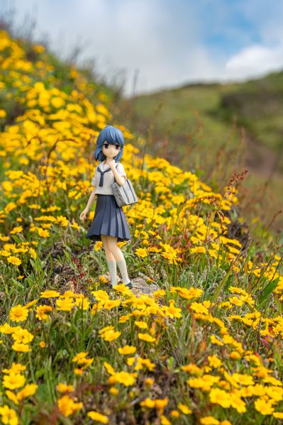 摇曳露营△ 第二季 志摩凛 初中生