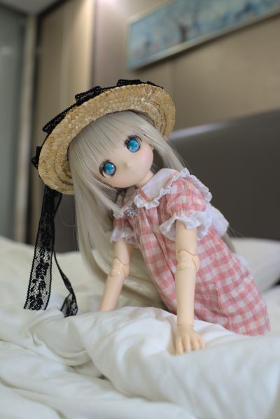 Iris Collect Petit 小春 Hushhush*chit-chat (通常贩售ver.)