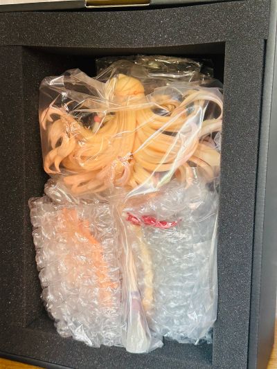 阿姆涅罗 泳装ver.