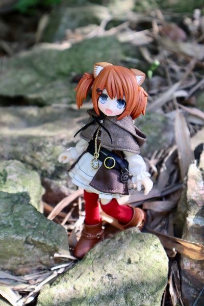 耳朵花园博物志 米亚姆 探险服