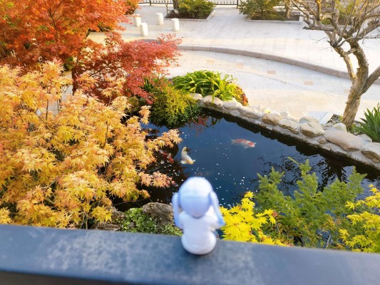 POP UP PARADE 工作细胞 血小板