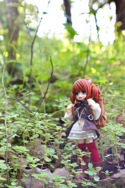 耳朵花园博物志 米亚姆