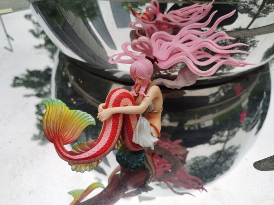 SCultures 航海王 白星