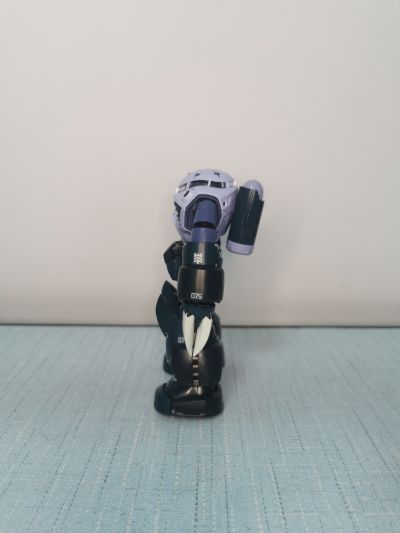 RG  量产型魔蟹