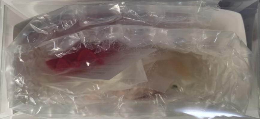 CharaGumin 失落的宇宙 凯娜儿·沃菲德