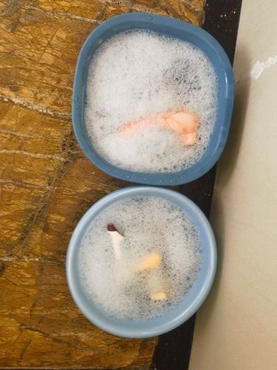 粘土人 #098 萝莉的时间 宇佐美美