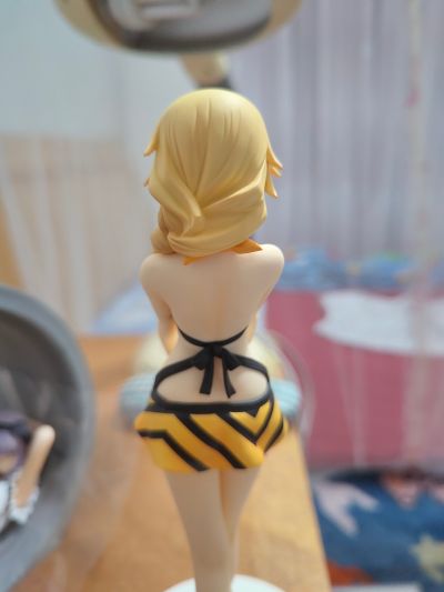 IS〈无限斯特托拉斯〉 夏洛特・迪诺亚 泳装