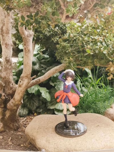 POP UP PARADE 工作细胞 血小板