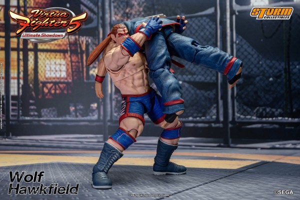 VR快打5 沃尔夫.霍克菲尔德