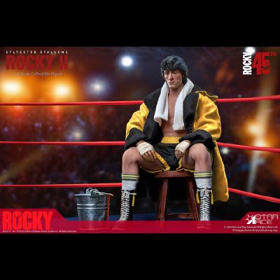 洛奇2 洛奇拳击手