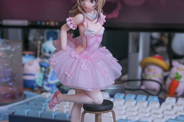 火烈鸟芭蕾舞团 后辈女孩