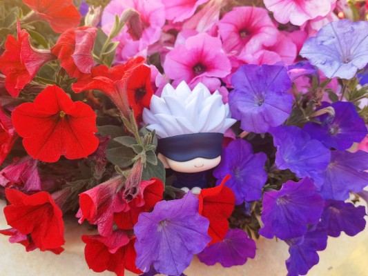 压泡面 测不准的阿波连同学 阿波连玲奈