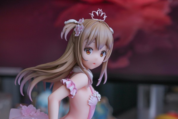 火烈鸟芭蕾舞团 后辈女孩