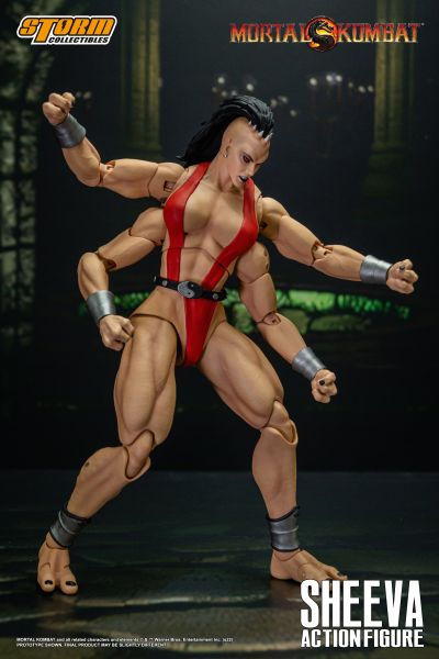 真人快打 西瓦