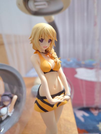 IS〈无限斯特托拉斯〉 夏洛特・迪诺亚 泳装