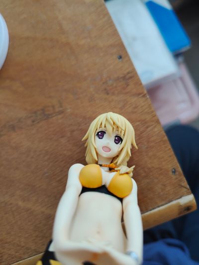 IS〈无限斯特托拉斯〉 夏洛特・迪诺亚 泳装