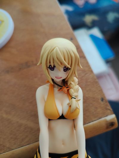 IS〈无限斯特托拉斯〉 夏洛特・迪诺亚 泳装