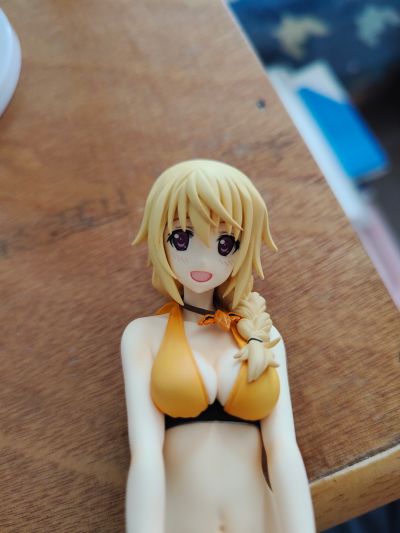 IS〈无限斯特托拉斯〉 夏洛特・迪诺亚 泳装