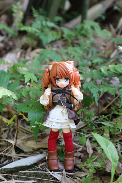 耳朵花园博物志 米亚姆