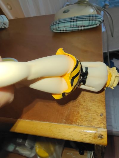 IS〈无限斯特托拉斯〉 夏洛特・迪诺亚 泳装