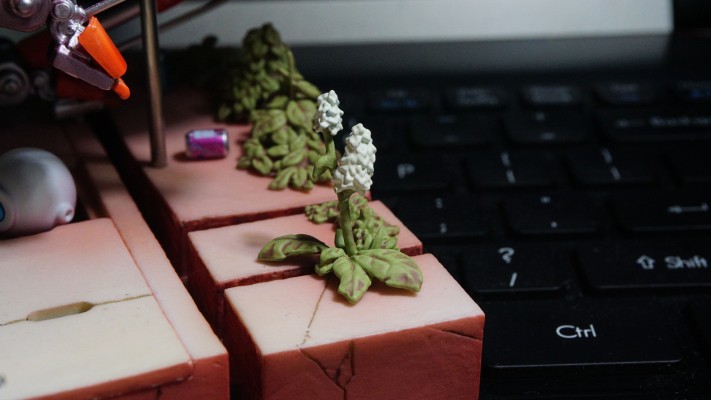 灭世Demolition Isobeyan&小山门出&中川凰兰