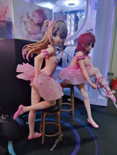 火烈鸟芭蕾舞团 后辈女孩