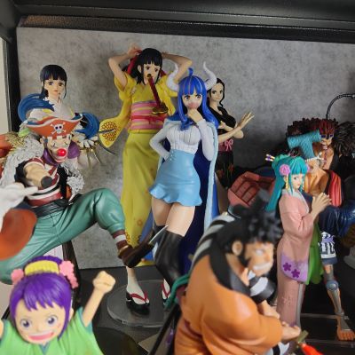 独特魅力 航海王 乌尔缇 A款