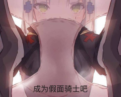 figma#573 少女前线 HK416