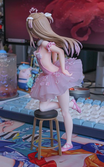 火烈鸟芭蕾舞团 后辈女孩