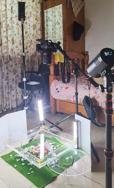 刀剑神域 亚丝娜 艾恩葛朗特的休息日Ver.