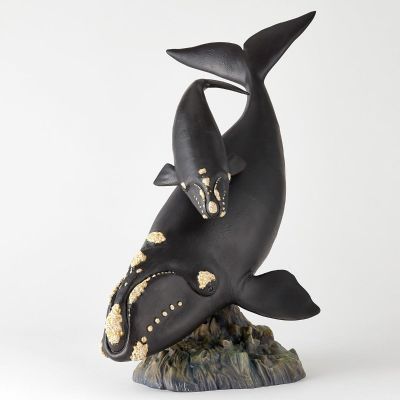 NATURE TALES 露脊鲸亲子