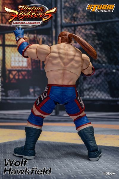 VR快打5 沃尔夫.霍克菲尔德