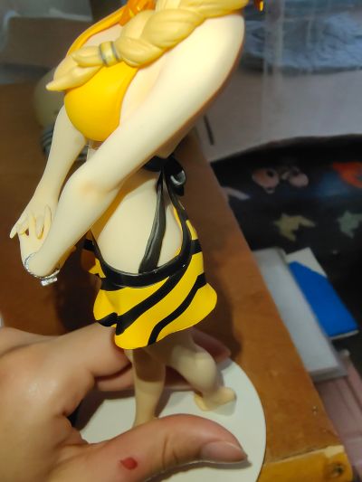 IS〈无限斯特托拉斯〉 夏洛特・迪诺亚 泳装