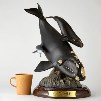 NATURE TALES 露脊鲸亲子