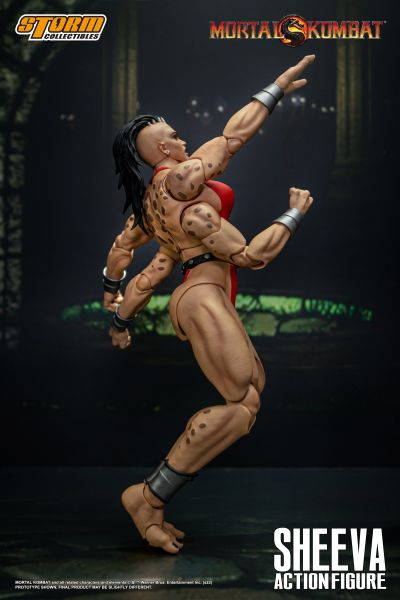 真人快打 西瓦