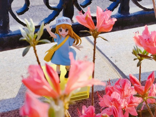 压泡面 测不准的阿波连同学 阿波连玲奈