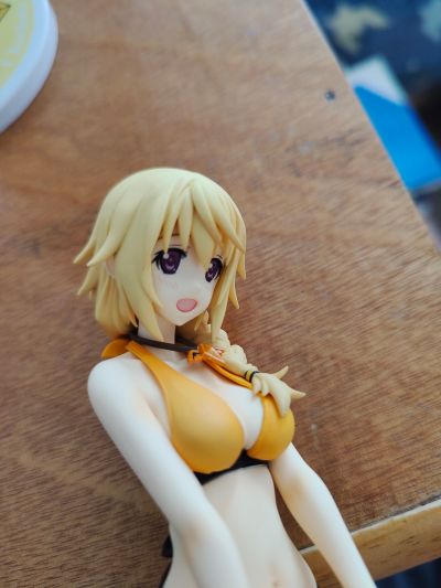 IS〈无限斯特托拉斯〉 夏洛特・迪诺亚 泳装