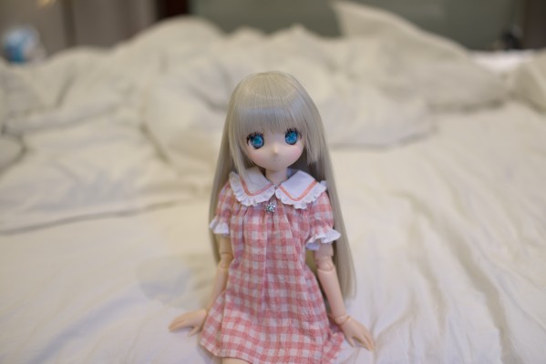 Iris Collect Petit 小春 Hushhush*chit-chat (通常贩售ver.)