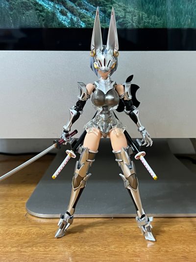 figma#579 FALSLANDER HEMET NETHEL