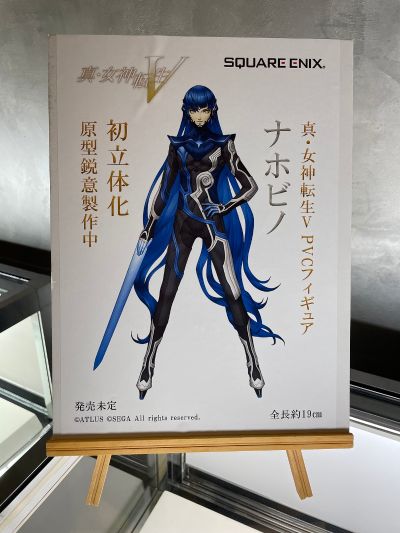 真女神转生5 直毗