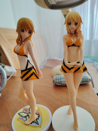 IS〈无限斯特托拉斯〉 夏洛特・迪诺亚 泳装