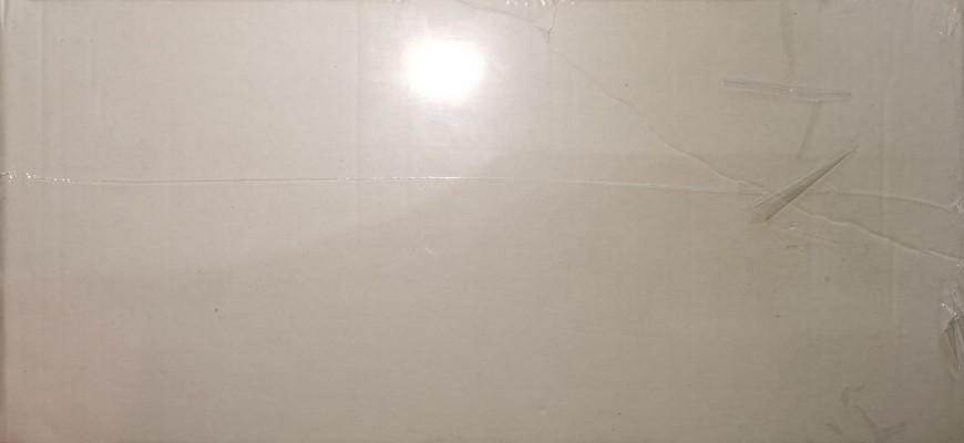 机动战舰 星野琉璃16岁(女仆IV)