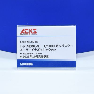 ACKS 编号TN-03 飞跃巅峰 钢巴斯塔 超级闪电踢版本