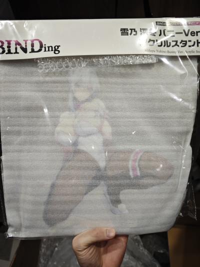 不善于社交的寡居雪女和被诅咒的戒指。 雪乃深冬 兔女郎